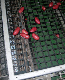 Grilles de calibrage